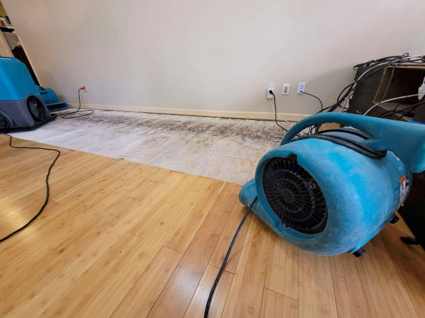 Professional Flood Damage Cleanup technician working in Phoenix, NY